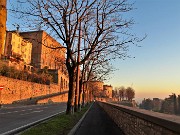 59 Il Viale delle mura si colora di tramonto